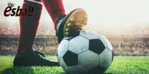 Điểm nổi bật ở kèo cá cược trên Esball